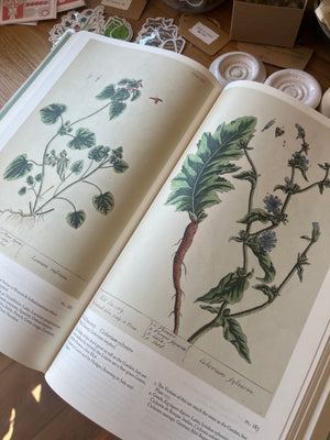 A Curious Herbal: Elizabeth Blackwell’s Pioneering Masterpiece of Botanical Art