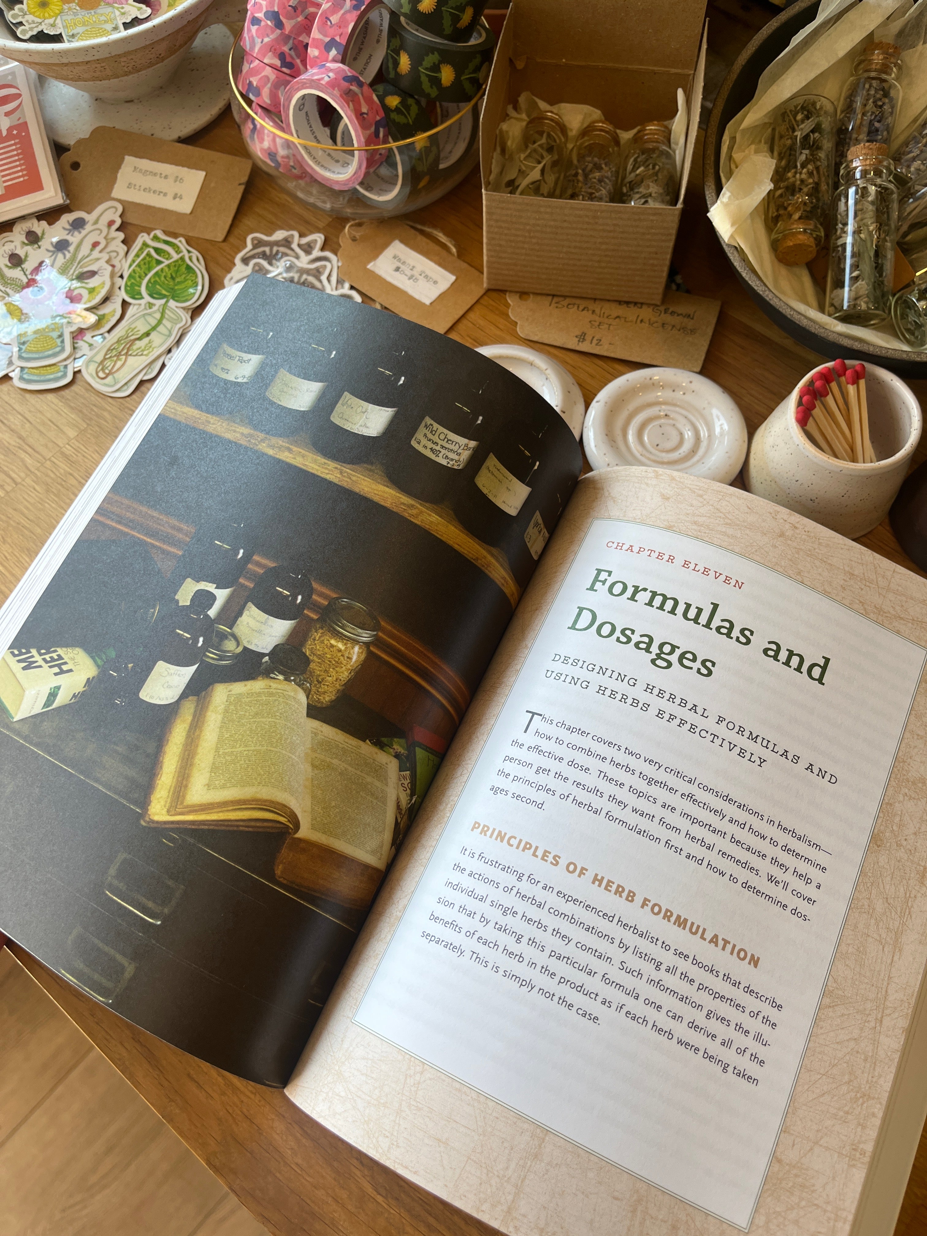 The Modern Herbal Dispensatory: a Medicine-Making Guide