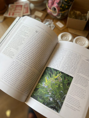 The New American Herbal by Stephen Orr