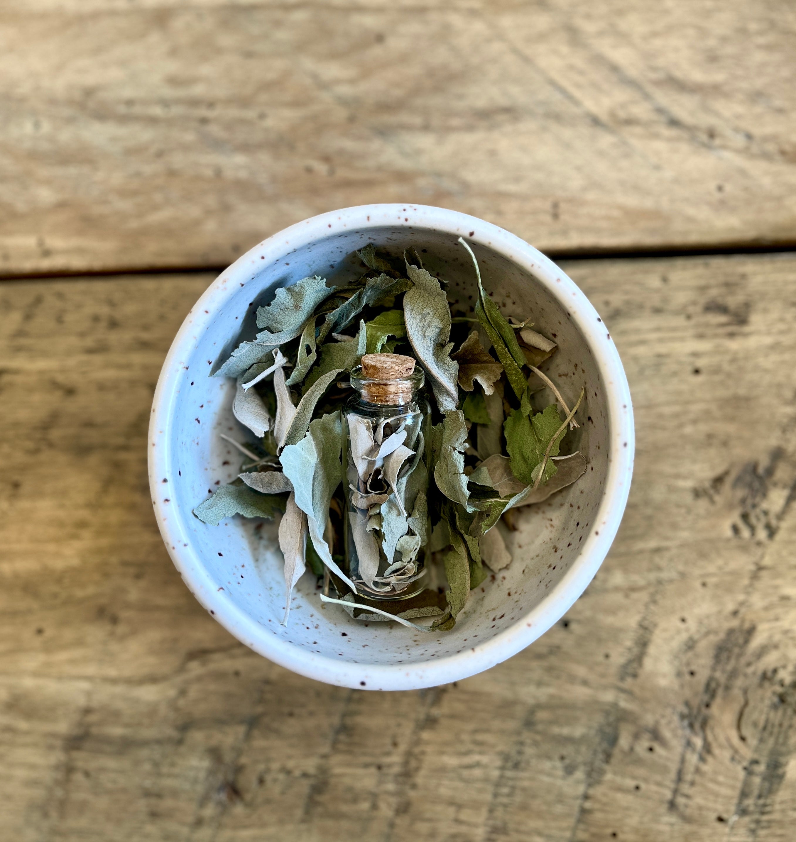 Botanical Incense from the Sage & Thistle Garden