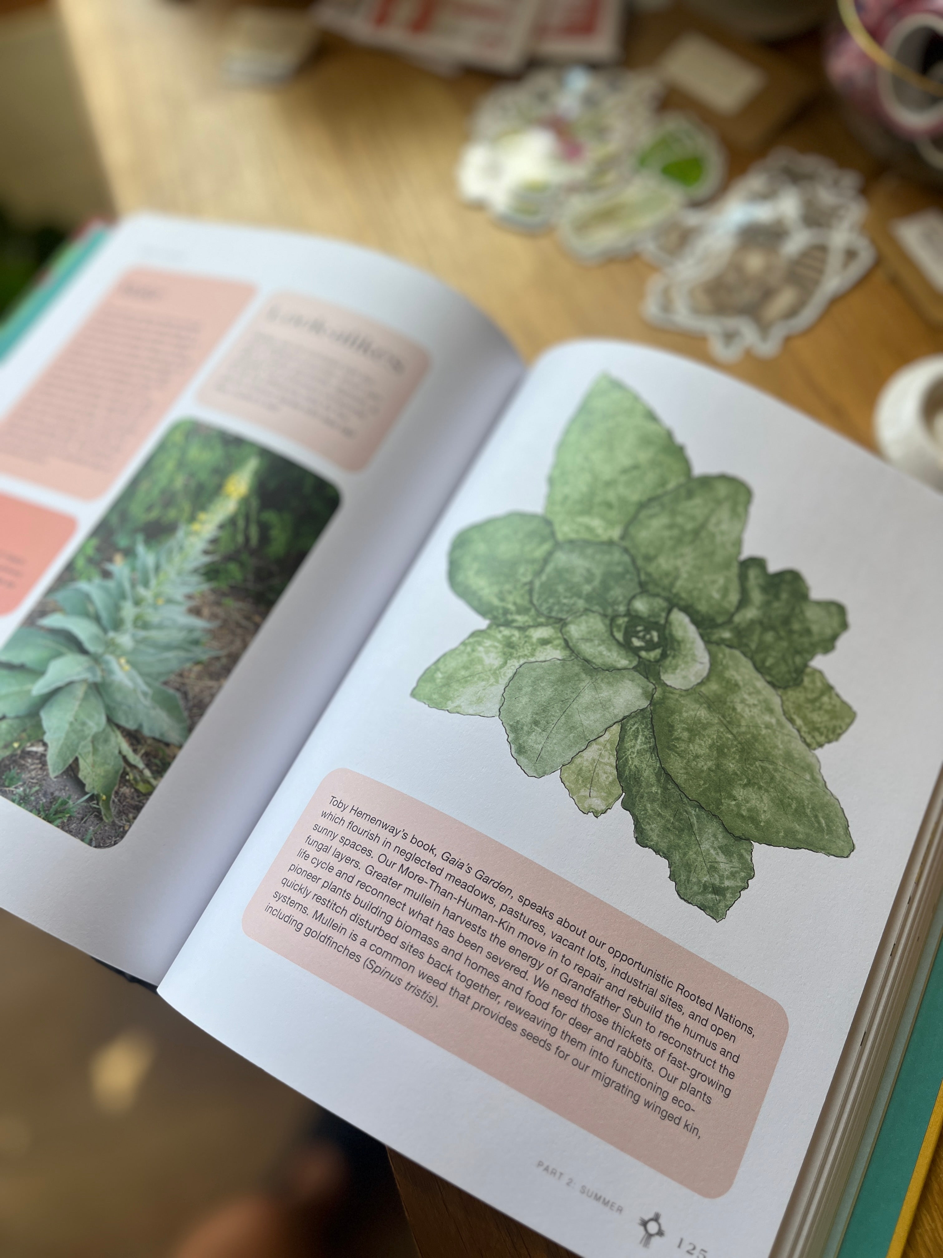 Revered Roots: Ancestral Teachings and Wisdom of Wild, Edible and Medicinal Plants