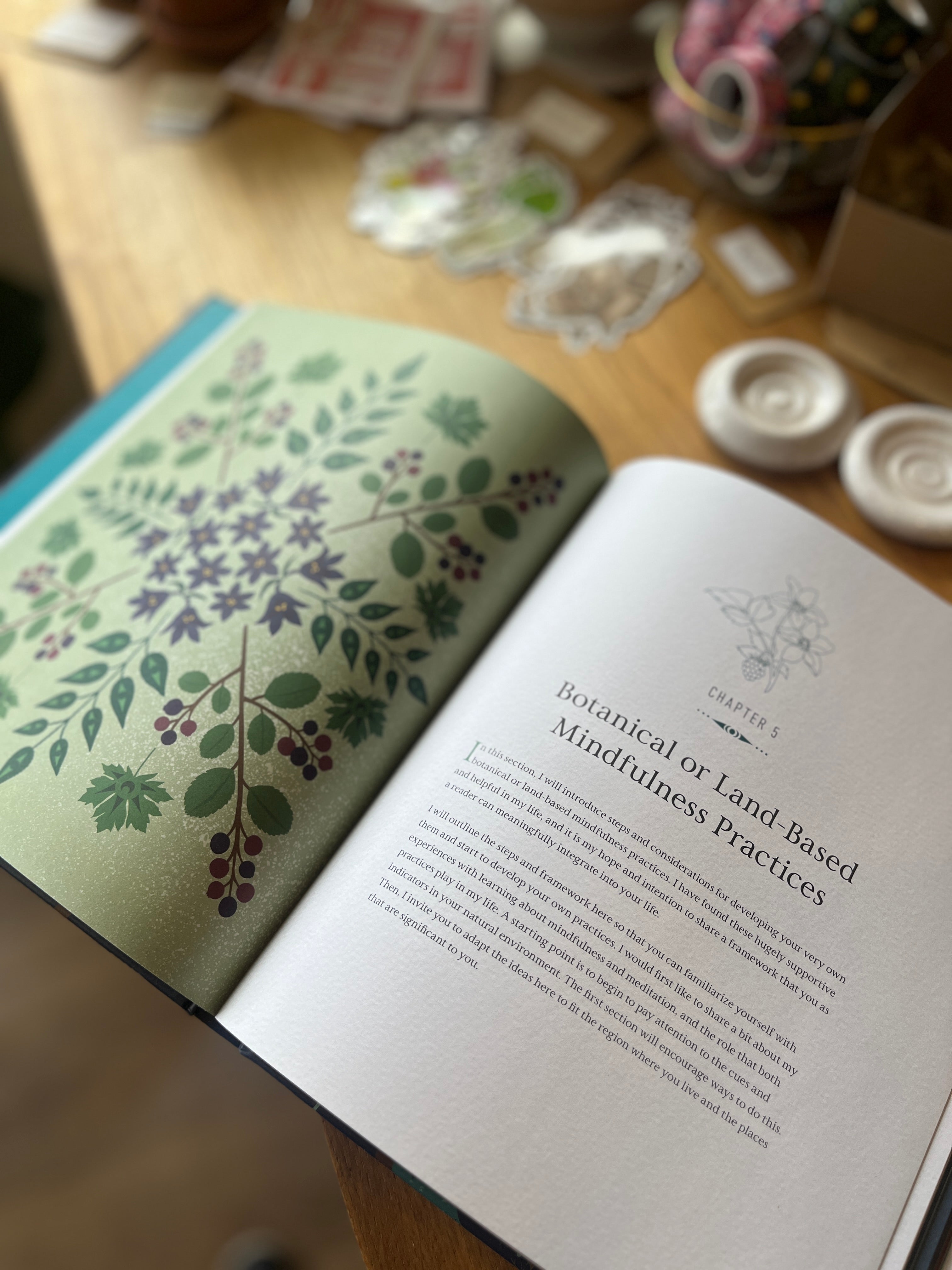 Held By The Land: A Guide to Indigenous Plants for Wellness