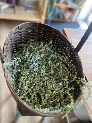 Organic Botanicals for Home Apothecary