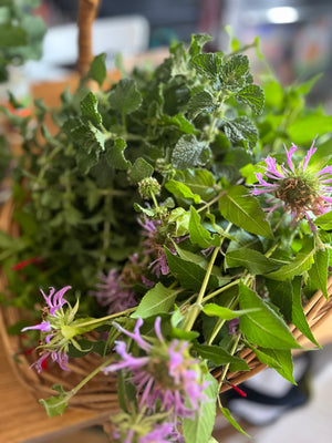 Organic Botanicals for Home Apothecary