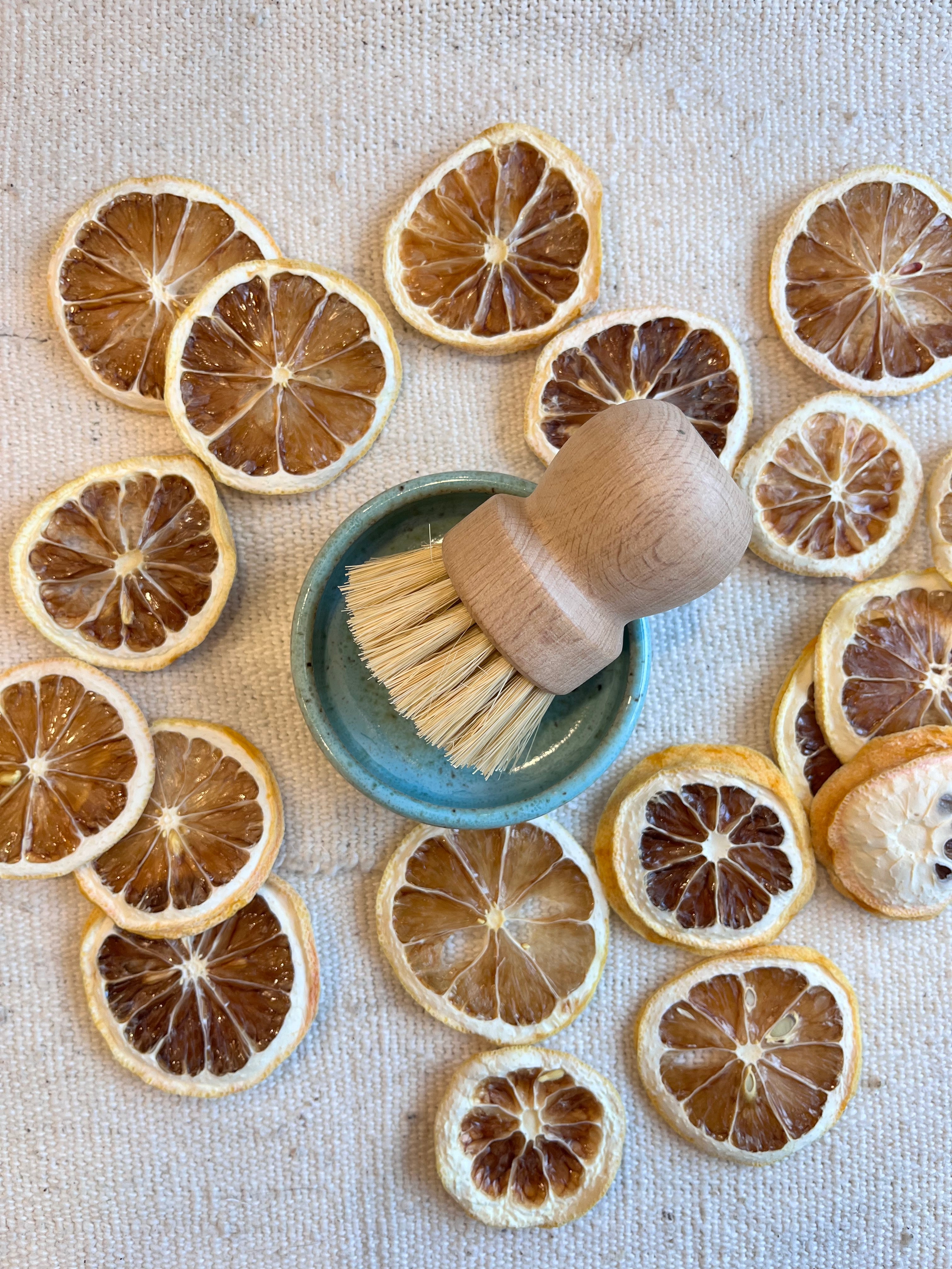 Biodegradable Dish Brushes