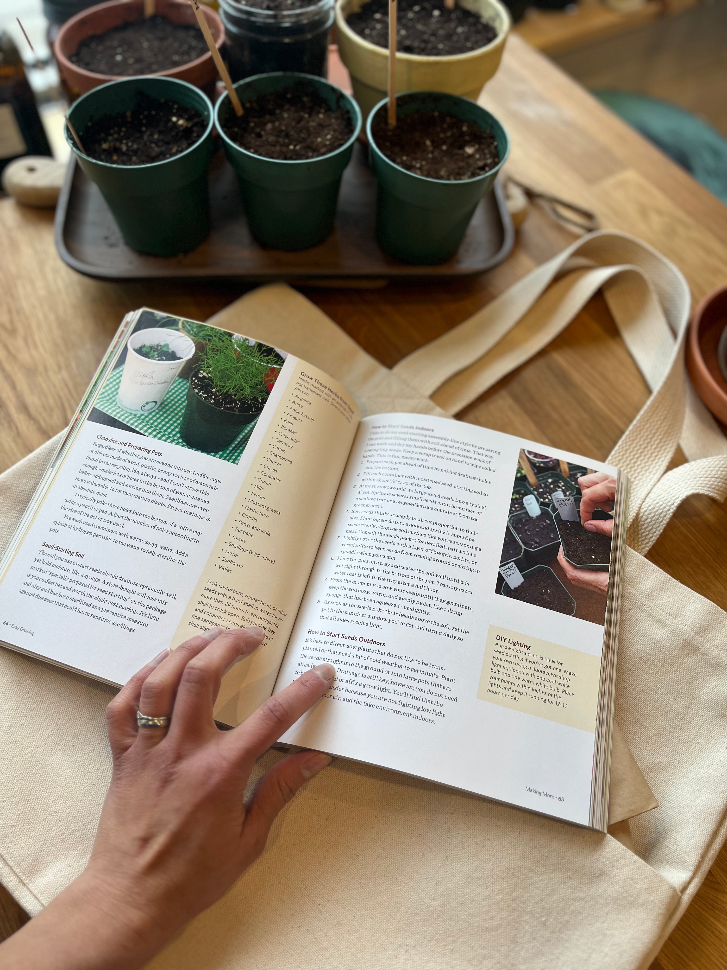 Easy Growing - Small-Space Gardening Book